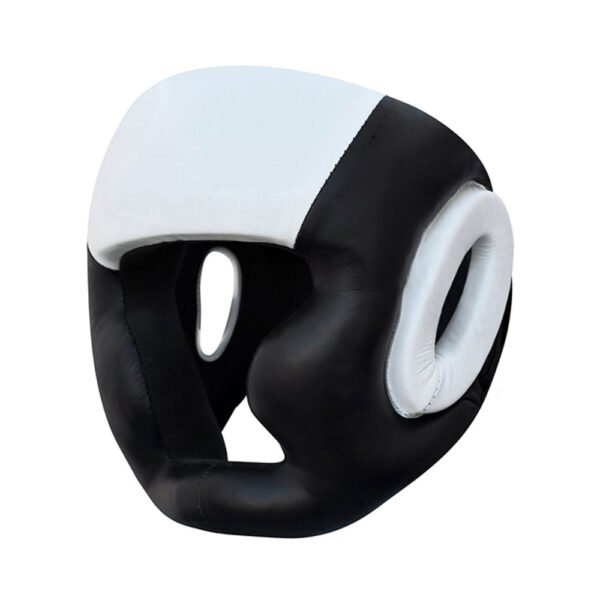 Head Guard