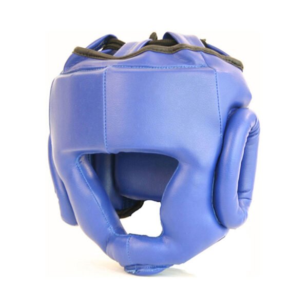 Head Guard